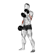 Hammer Curl (Dumbbell)